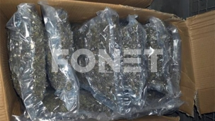 Marihuana u 98 paketa