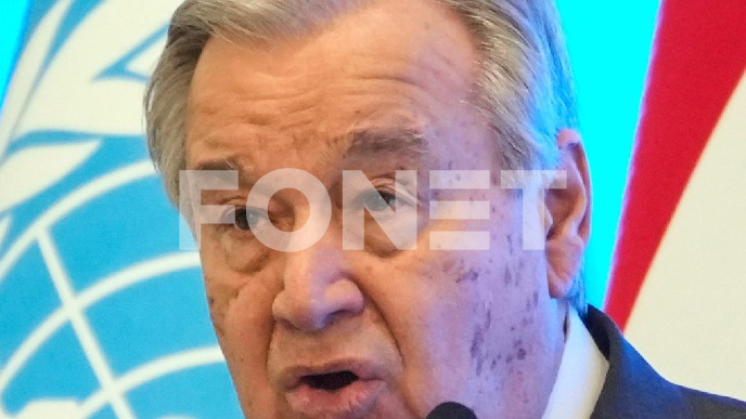 Vladavina zakona džungle