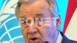 Vladavina zakona džungle