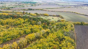 Sačuvan Slavujev lug