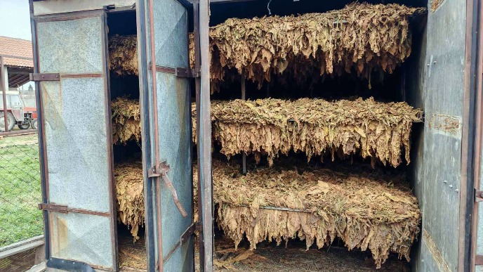 Nelegalno posedovanje duvana 