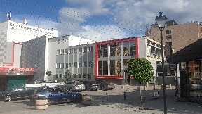 Nagrada Svetlani Čeković