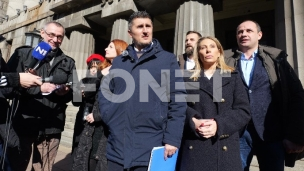 Ocena ustavnosti zakona 