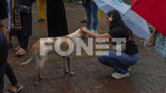 Klinika za zaštitu životinja