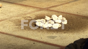 "Moja zemlja" u CZKD