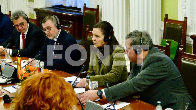 FoNet-BRNABIĆ-ŠPANIJA