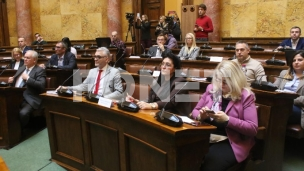 Javno slušanje 19. februara