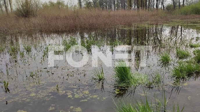 Izlivanje reka i potoka 