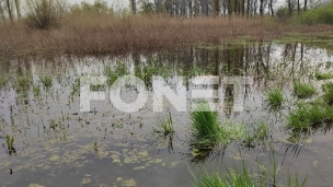 Izlivanje reka i potoka 