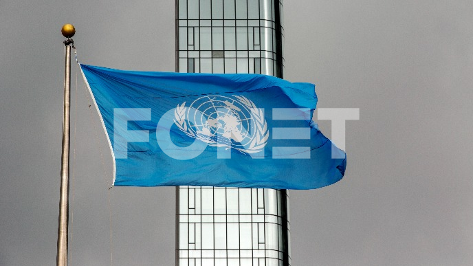 Počinjeni svirepi zločini