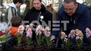 Stranačka praznična kampanja