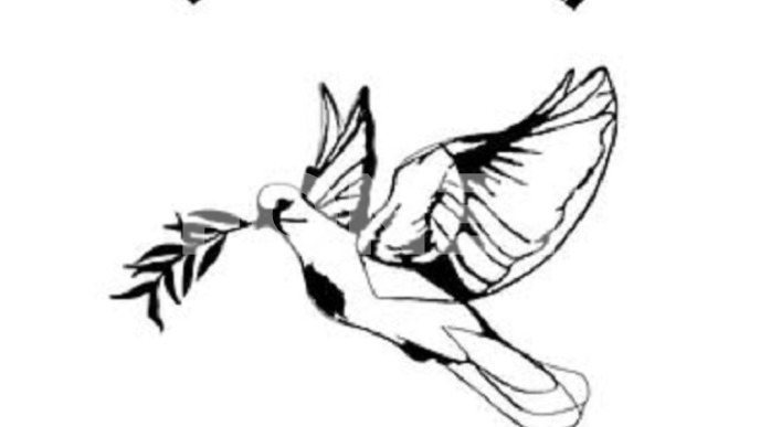 Napad tokom akcije u Crvenki