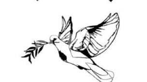 Napad tokom akcije u Crvenki