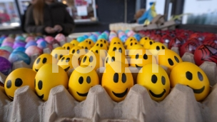 Jaja iz bezkaveznog uzgoja 