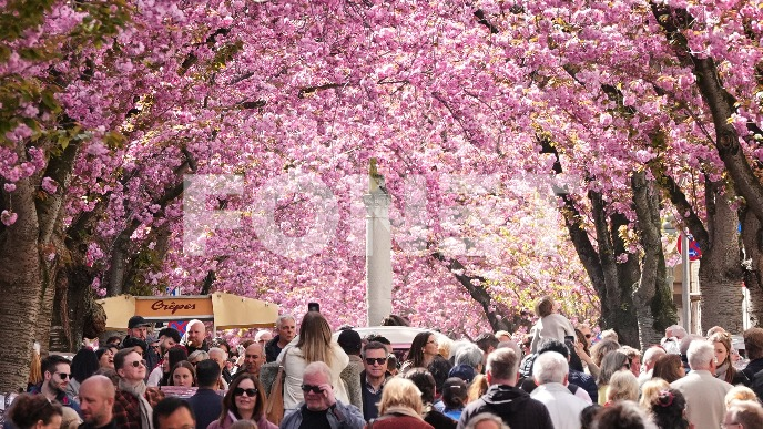 Mladi žele u inostranstvo