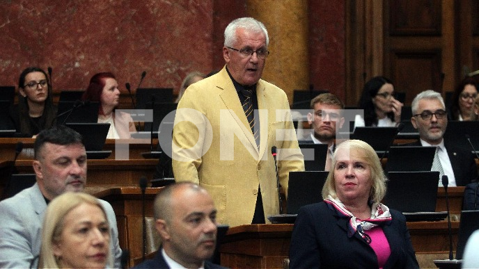 Poslanička pitanja Vladi