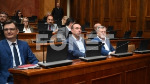 Poslanici o amandmanima