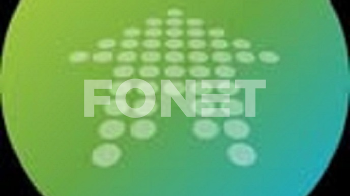 Onlajn naplate u devizama