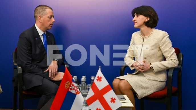 Saradnja sa Gruzijom 