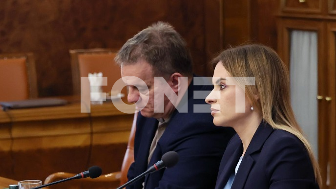 Nepromišljeno nasilje 
