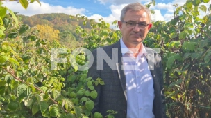 Povećan izvoz voća iz Srbije
