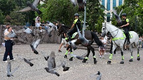 Hapšenje anti-NATO aktivista