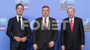 Tema i naoružavanje Srbije