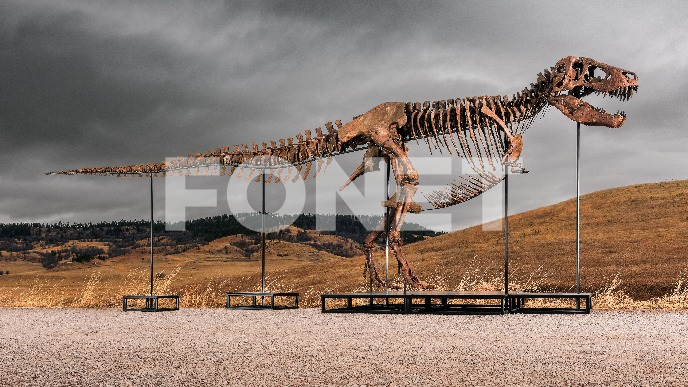 Rekordna cena za dinosaurusa