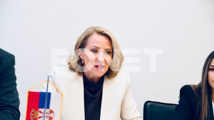 Direktorska plata za Paunović