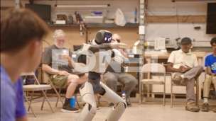 Zabrana za kineske robote