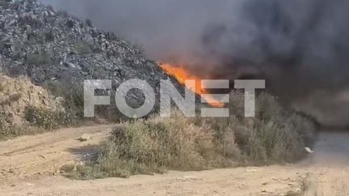 Gori deponija u Bačkoj Palanci