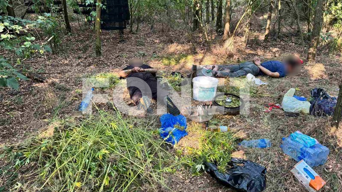 Zaplenjeno 30 kilograma marihuane