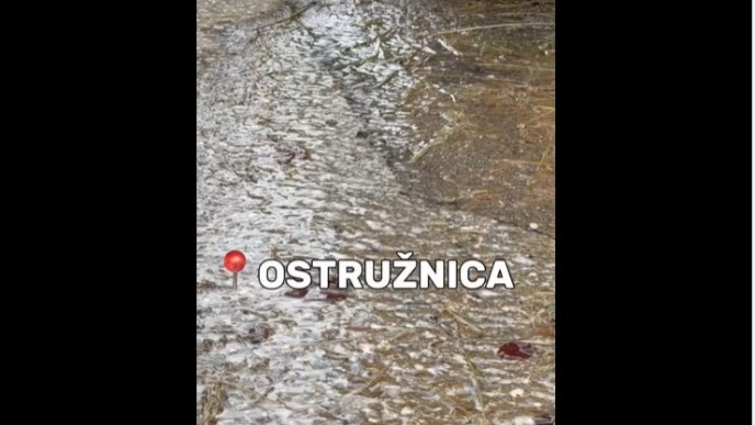 Ostružnica danima bez vode