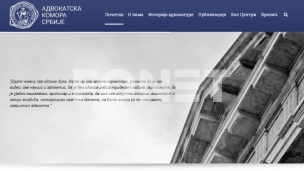 Ni vlast ni opozicija 