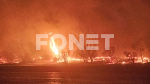 Požar kod plaže Oficirac
