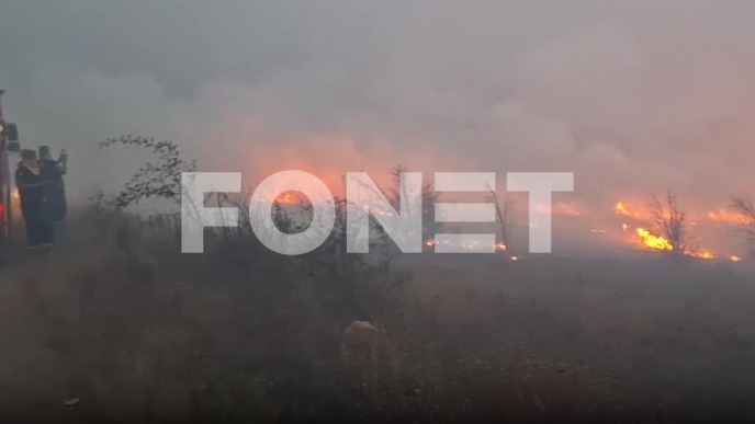 Aktivno više šumskih požara 