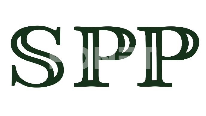 SPP ide samostalno na izbore 
