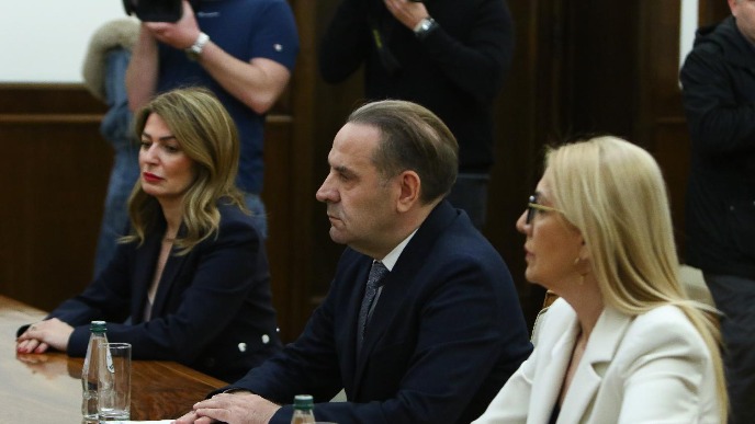 Manjina odlučuje 