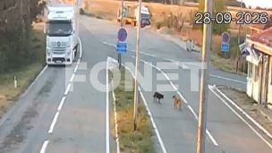 Četiri sata čekanja zbog kamiona