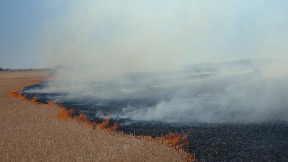 Privođenje zbog strnjike
