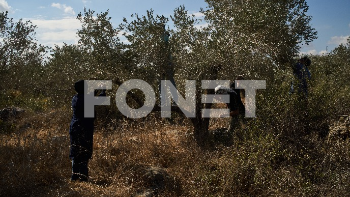 Pretučen fotoreporter AFP