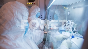 Nema rizika od epidemije