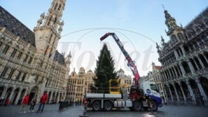 Božićno drvce u Briselu