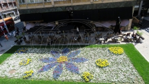 U Beogradu 400.000 cvetnih rasada