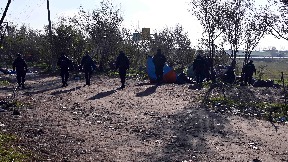 Pronađeno 113 ilegalnih migranata 