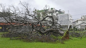 Tajfun na Okinavi