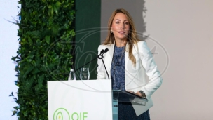 Nove elektrane