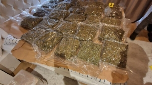 Zaplena 130 kilograma marihuane