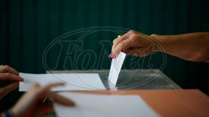 Izbori i za 65 lokalnih skupština